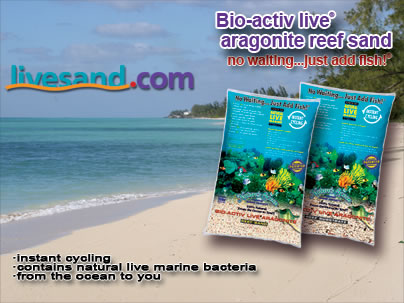 Live aquarium sand for your aquariums